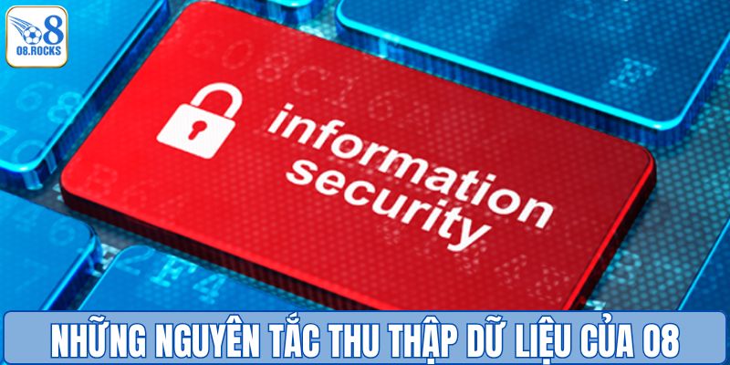 Những nguyên tắc thu thập dữ liệu của O8